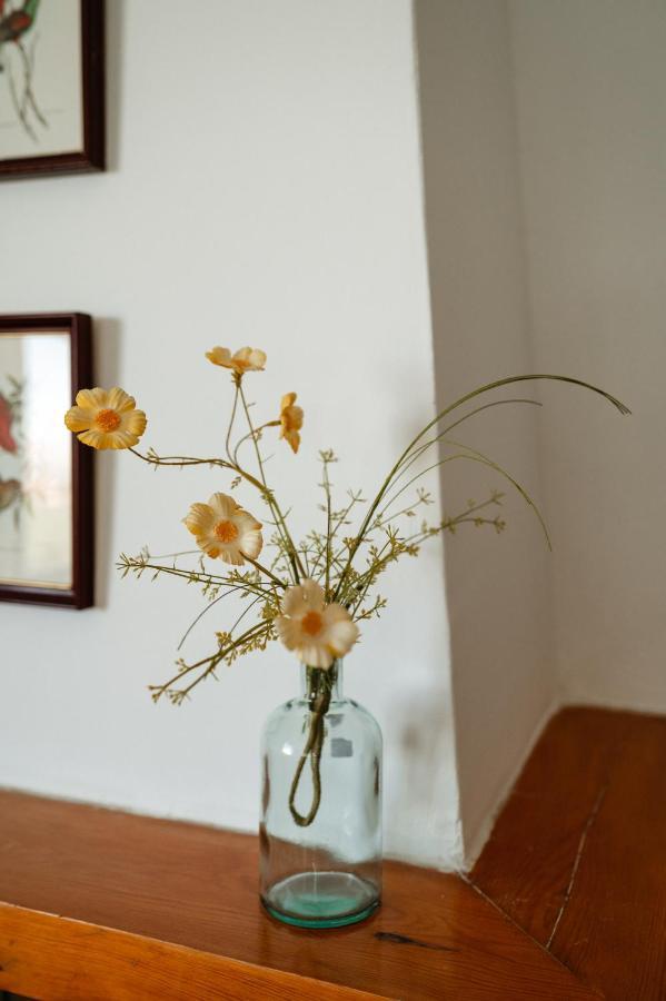 Casa Rural Balcon De 莫纳奇尔 外观 照片