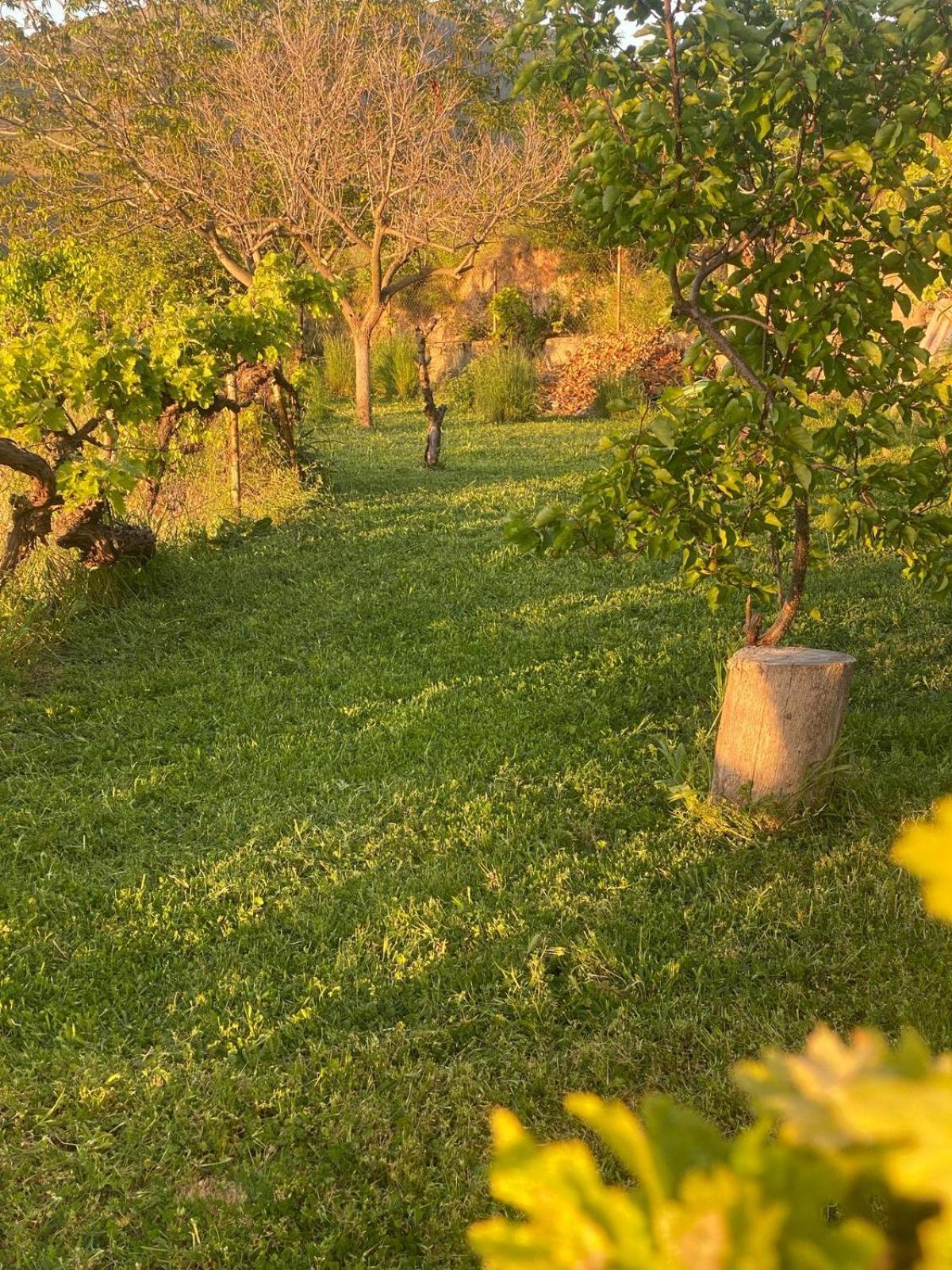 Casa Rural Balcon De 莫纳奇尔 外观 照片